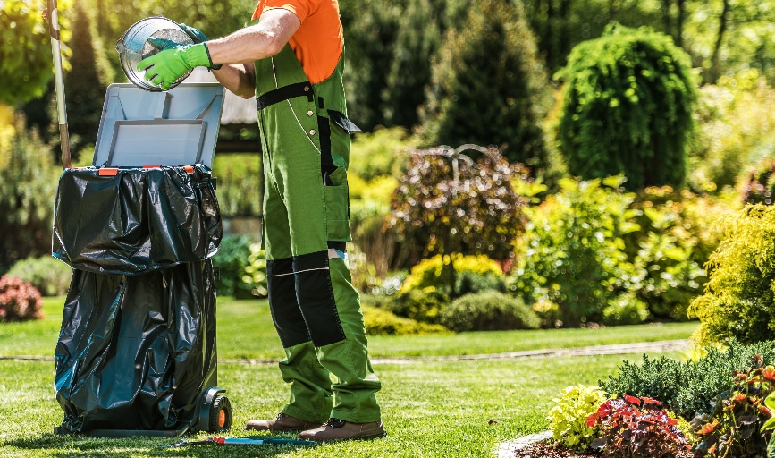 Yard Cleanup