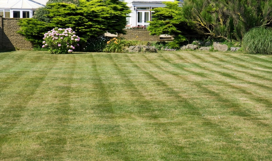 Lawn Care